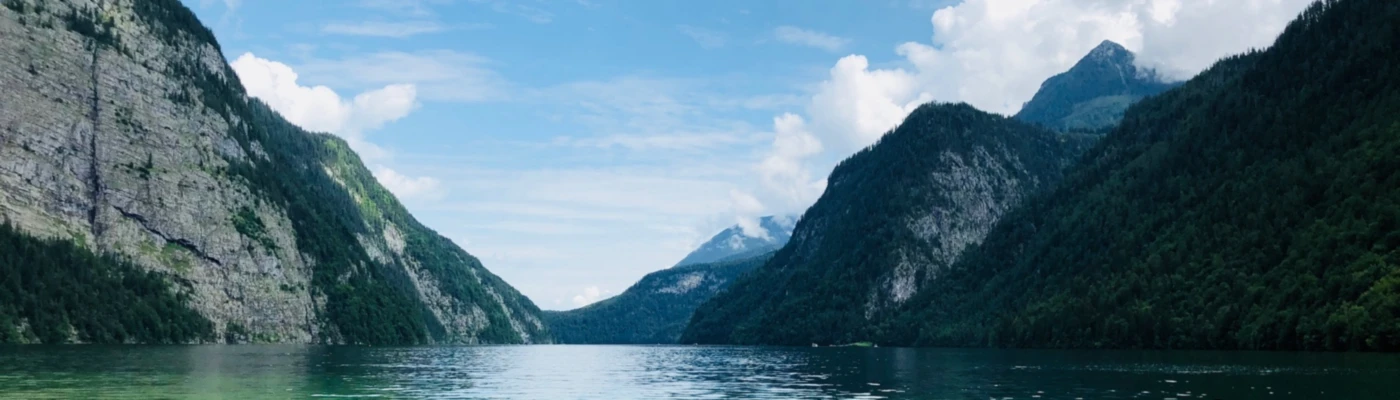 Banner image of Waldkoenig