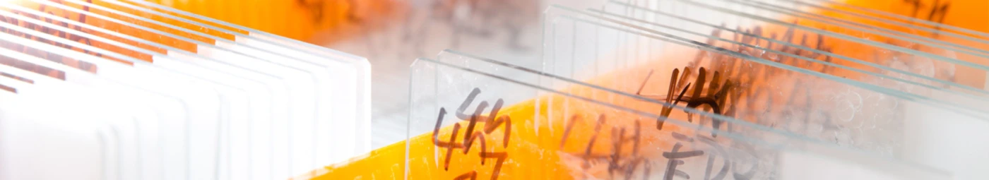 Banner image of ocramers