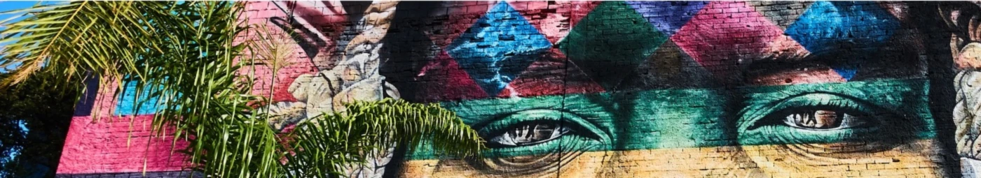 Banner image of 115479595