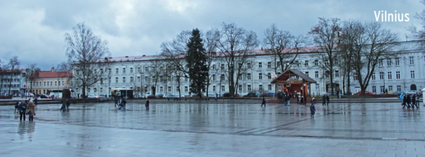 Banner image of 115485134