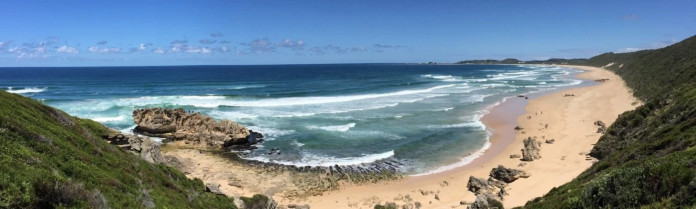 Banner image of robertkipf