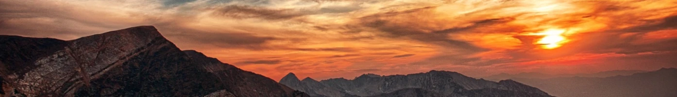 Banner image of Hawk001