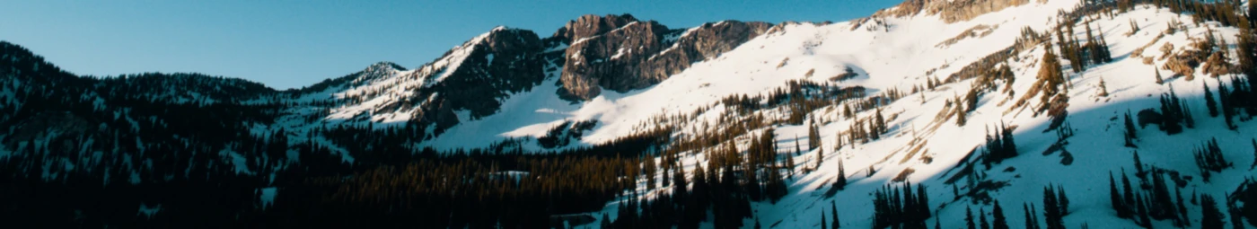 Banner image of Dooley Designs