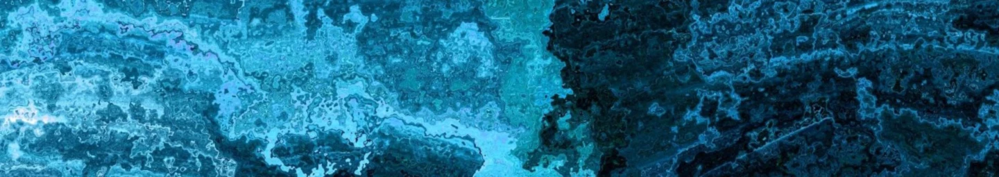 Banner image of FlinGrin