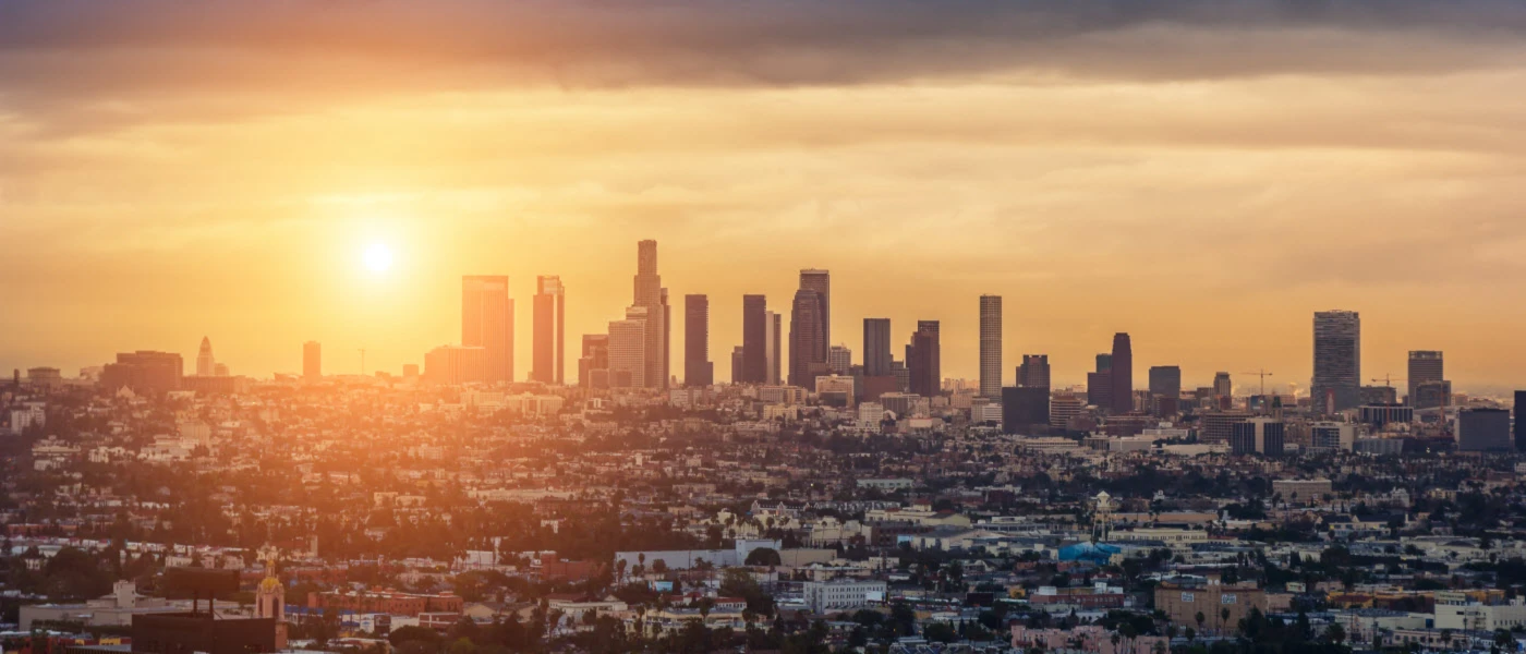 Banner image of CM Clothes