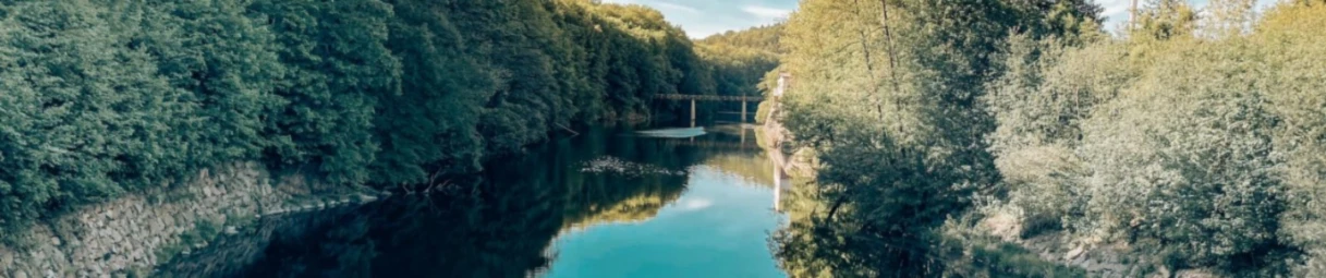 Banner image of Bino92