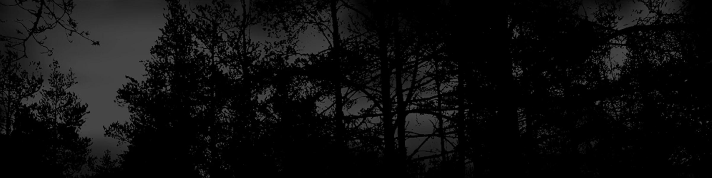 Banner image of 115559045