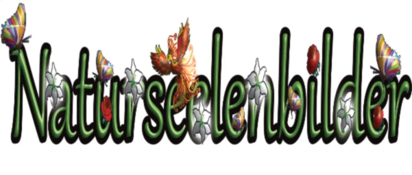 Bannerbild von Naturseelenbilder