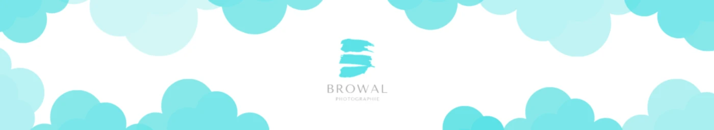 Banner image of BroWal Art