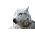 leparoc