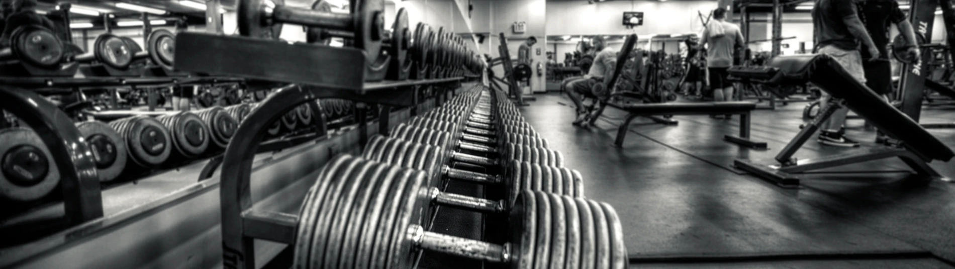 Banner image of MyGymShirt