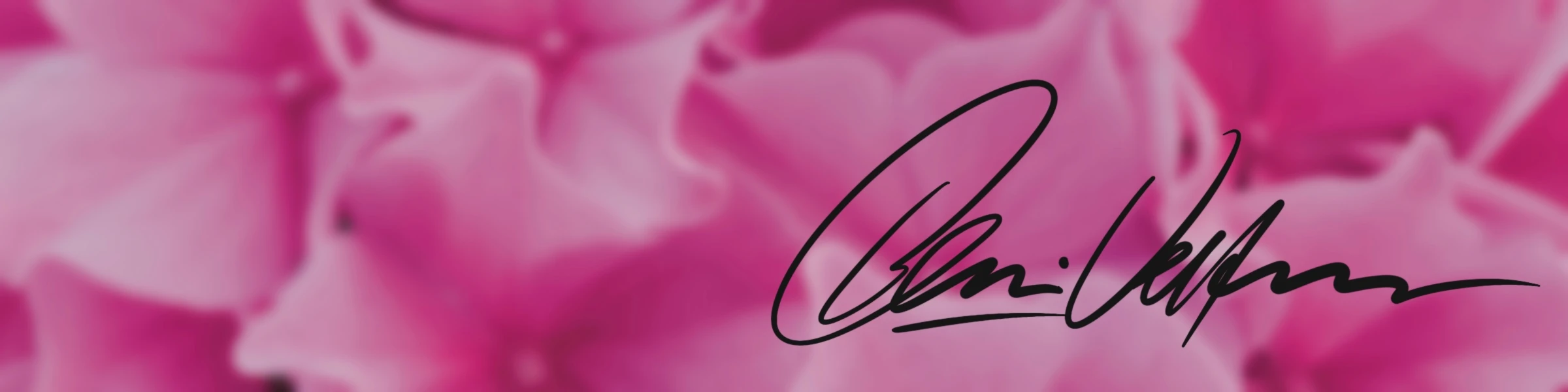 Banner image of Beni Shop