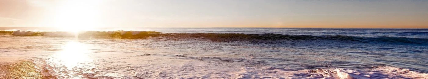 Banner image of wiblismedia