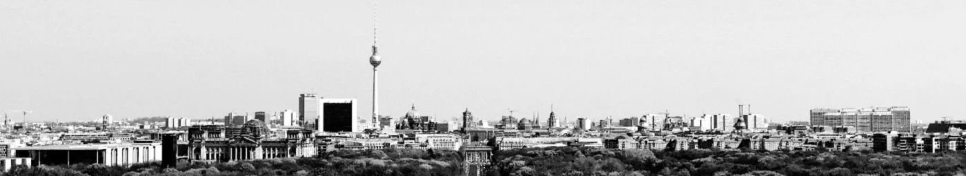 Banner image of Big City Display