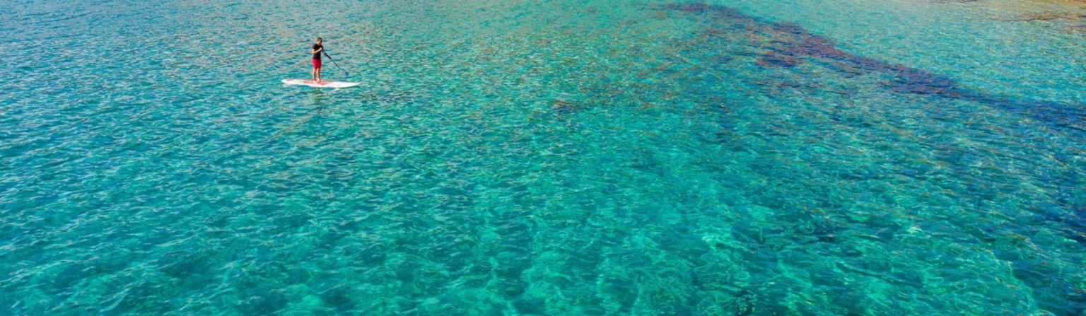 Bannerbild von Explore-the-Ocean