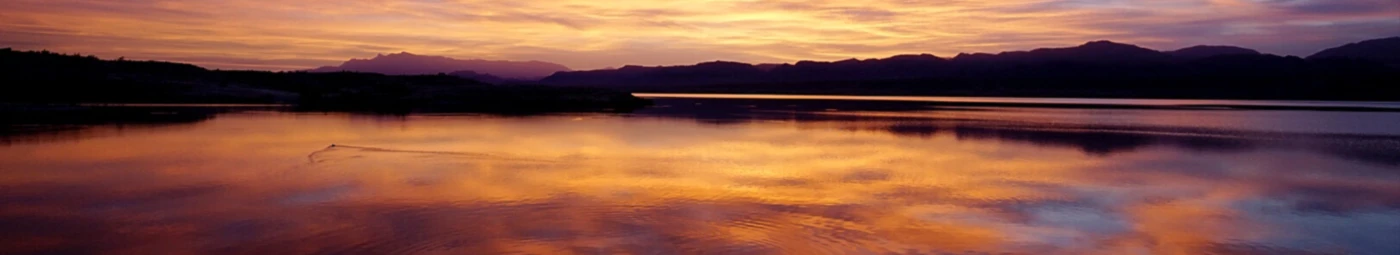 Banner image of We love the Outdoors