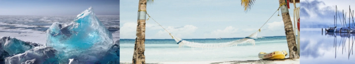 Banner image of BestT-shirt