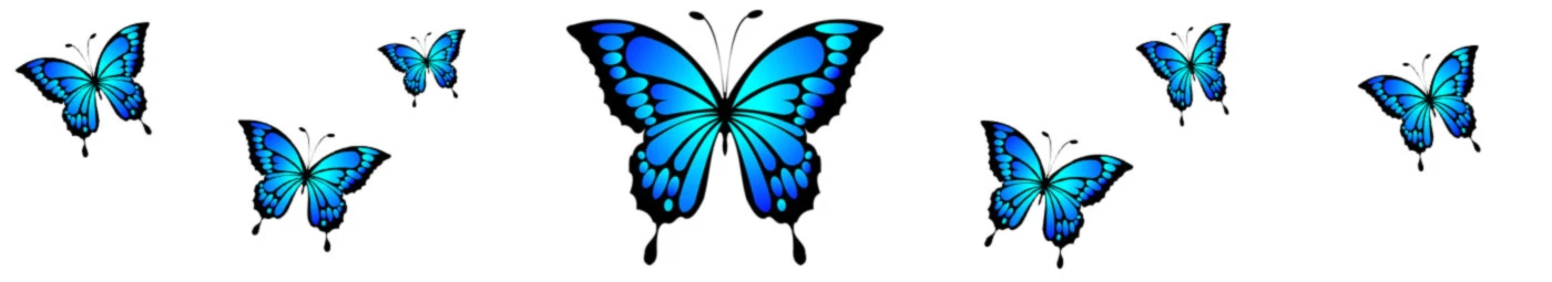 Banner image of Butterfly46