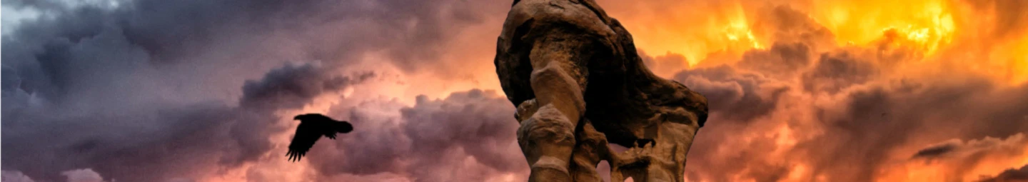 Banner image of lilaflo