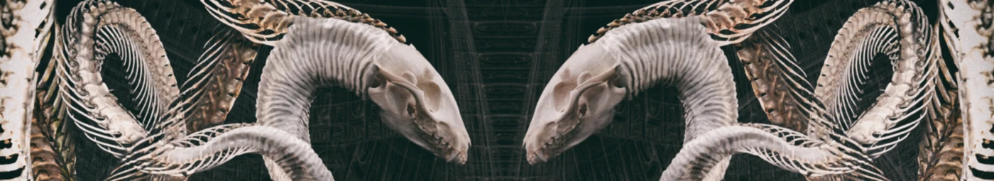 Banner image of Ante Mortem