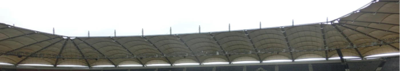 Bannerbild von flora.otf