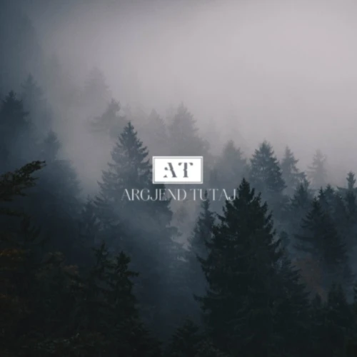 Bannerbild von Argjend Tutaj