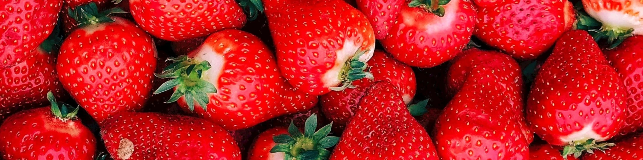 Bannière de La petite phrase