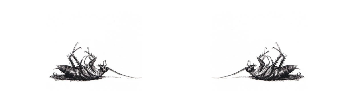 Banner image of baha.ooo