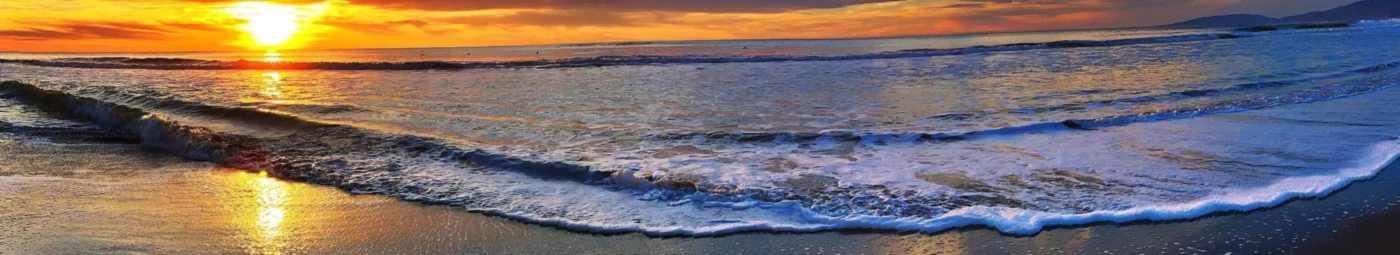 Bannerbild von Miss Saliha