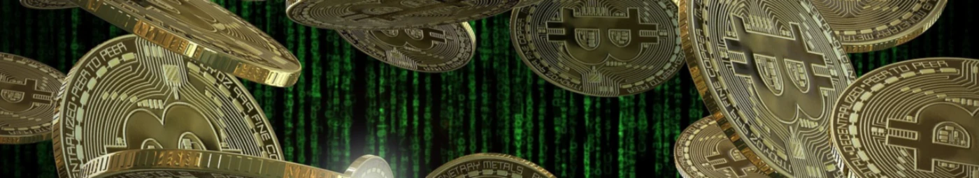 Banner image of satoshirebel