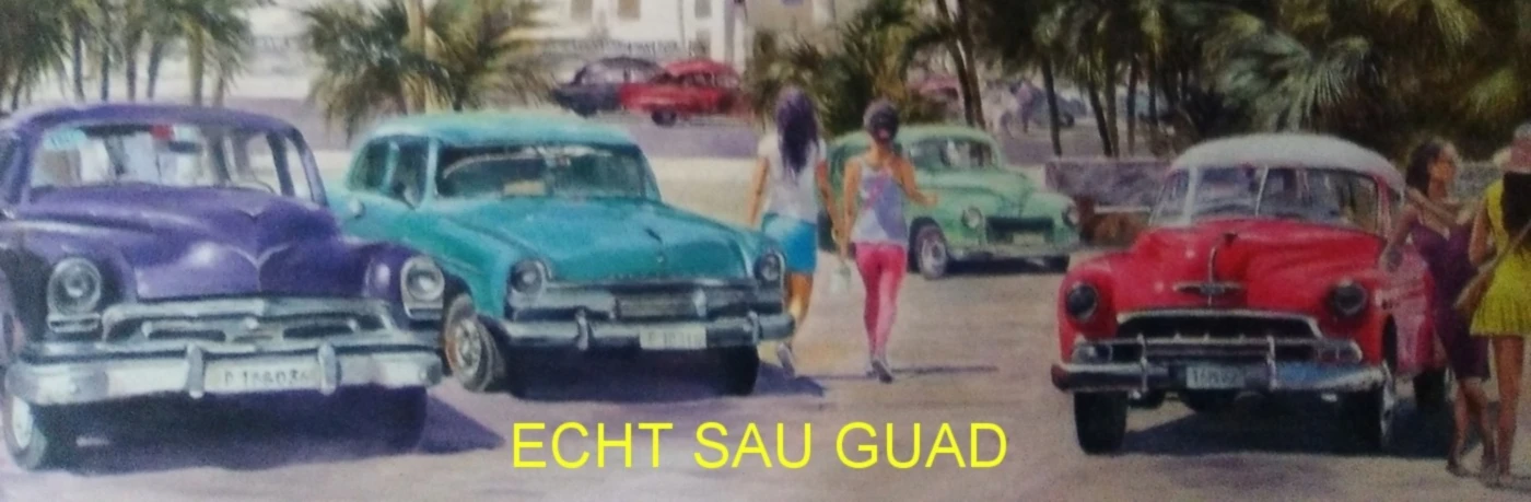 Banner image of 115685338