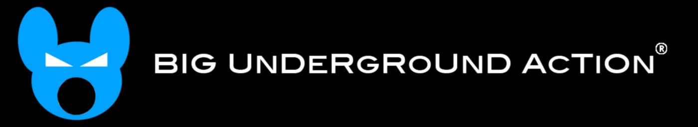 Banner image of B.U.A. BIG UNDERGROUND ACTION