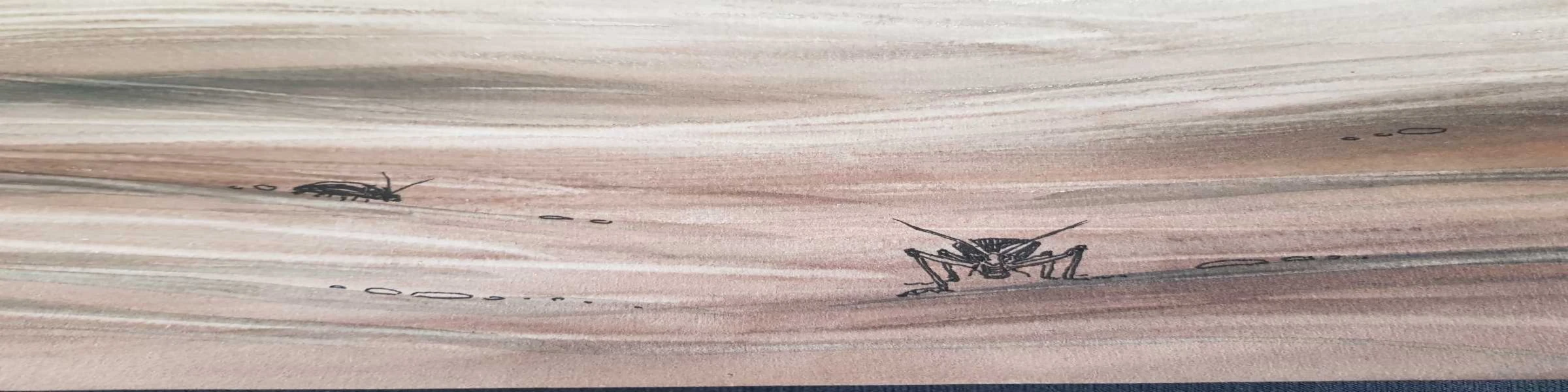 Banner image of S.Brandt