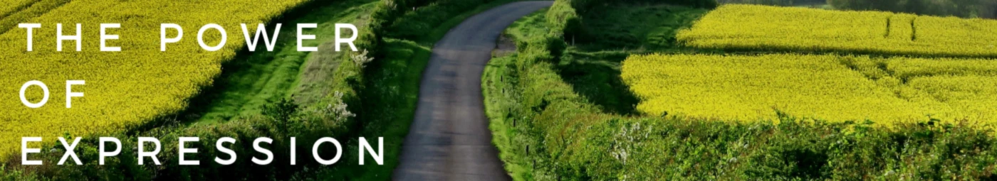 Bannerbild von 115710423