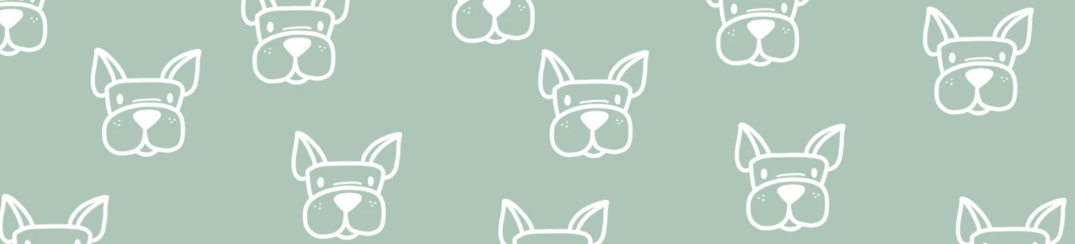 Banner image of Zuckergusche