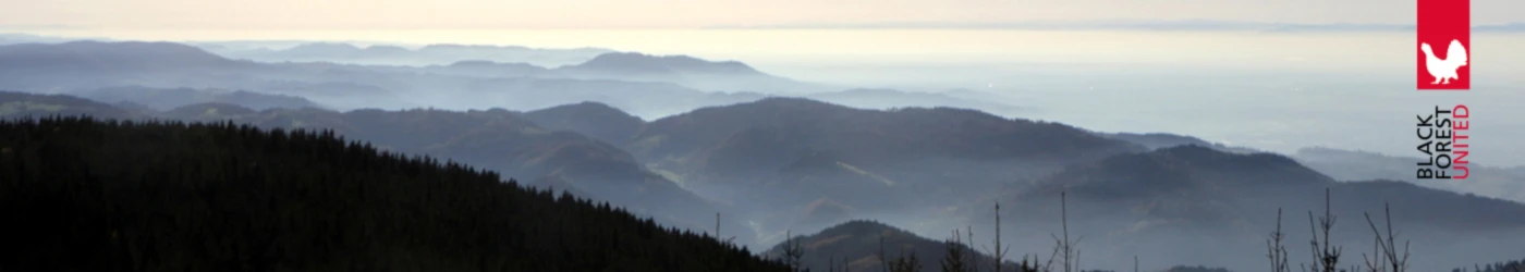 Banner image of Black Forest United