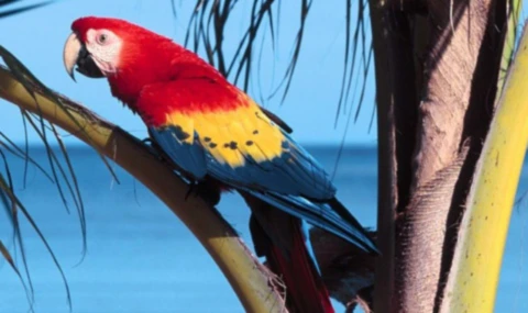 Banner image of abosaeed