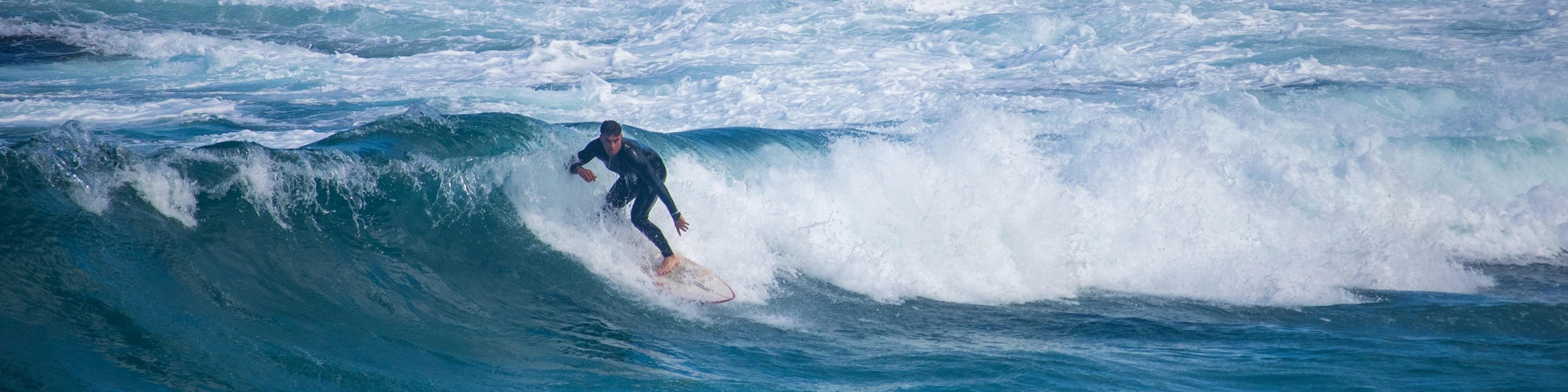 Bannerbild von Freetide