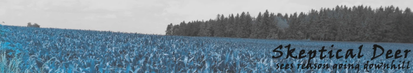 Banner image of JelenaBraum