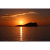 Ibiza4ever