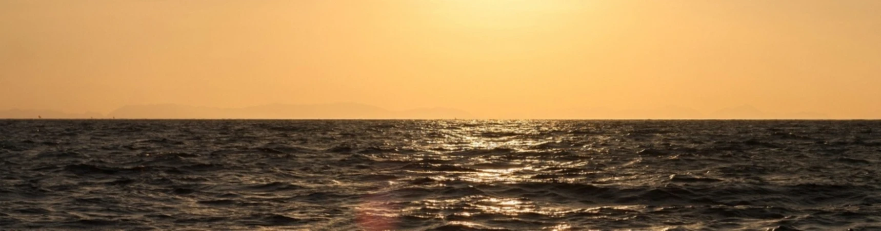 Banner image of Ibiza4ever