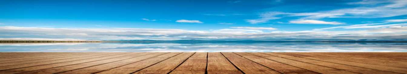 Banner image of Design Kinggg