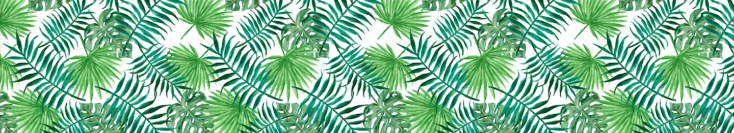 Banner image of monica spada