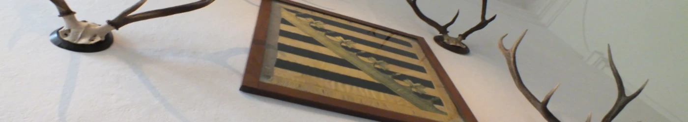 Banner image of JOELCK