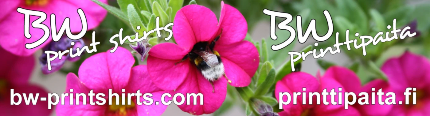 Banner image of Bodwil