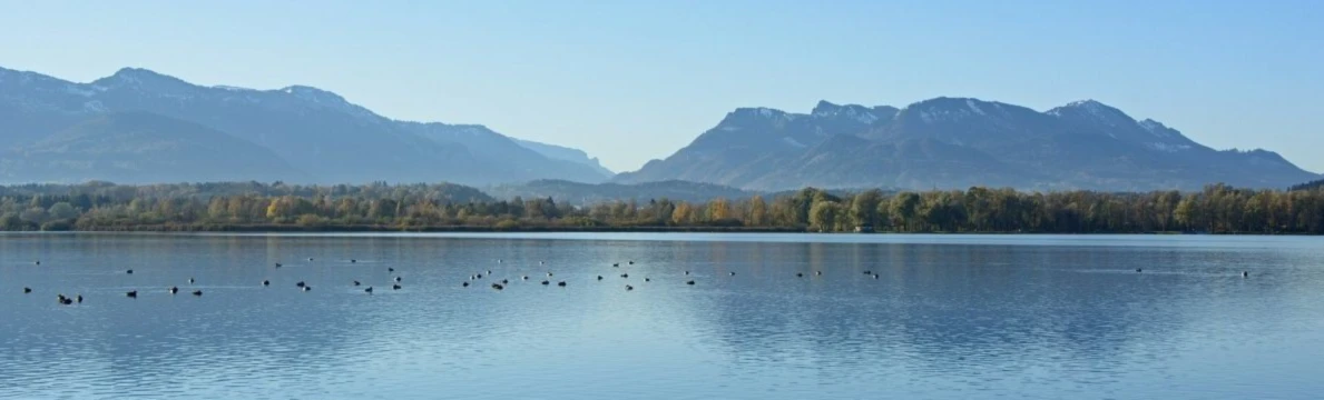 Banner image of Chiemsee Diving