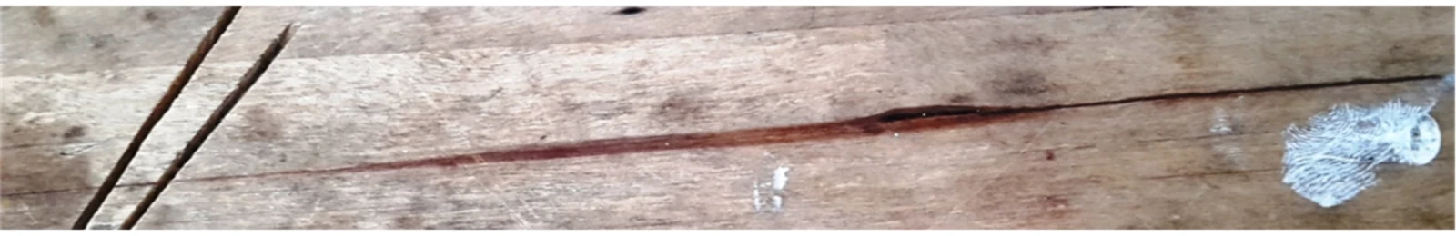 Banner image of 115809286