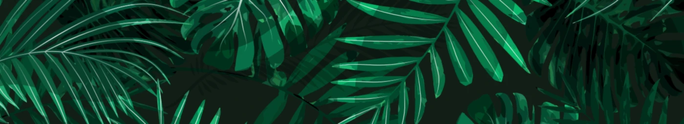 Banner image of Bolodur