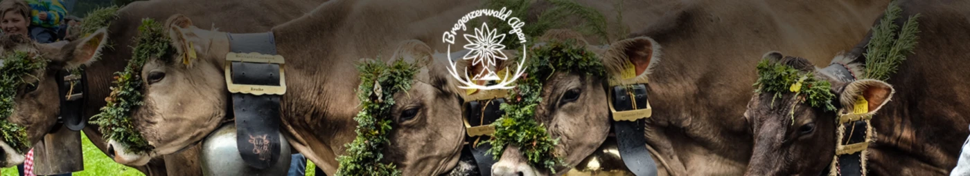 Banner image of BregenzerwaldAlpen