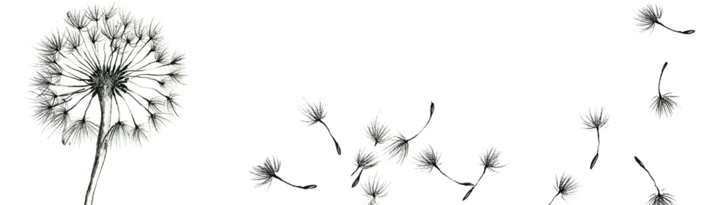 Banner image of Sabine Floner